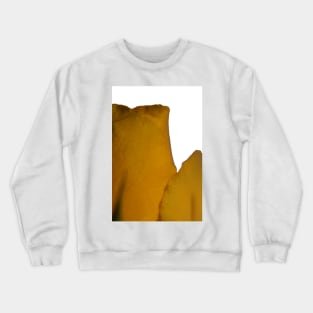 Yellow Rose Macro Crewneck Sweatshirt